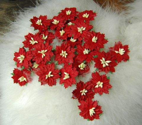 Hovedbilde Papirdesign - Julestjerner - Rød - m beige bær