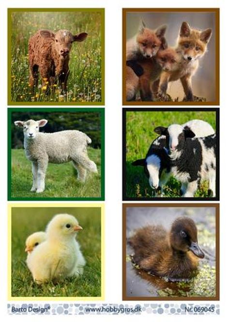 Hovedbilde Barto Design - Klippeark A4 - 069045 - Animals
