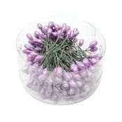 Pyntebær og støvbærere