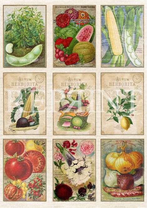 Hovedbilde Reprint -  KP0066 - A4 Klippeark - Veggies