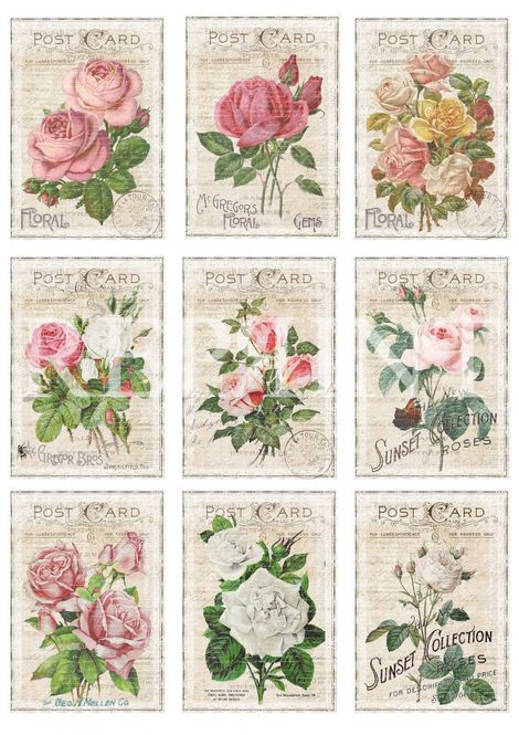 Hovedbilde Reprint -  KP0063 - A4 Klippeark - In the Garden - Roses