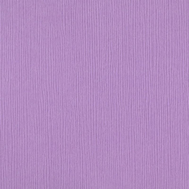 Bazzill - Fourz (Grass Cloth) - 6-663 - Lupine