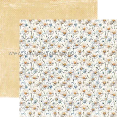 Hovedbilde Reprint - 12x12 - RP0695 - Summer - Daisies