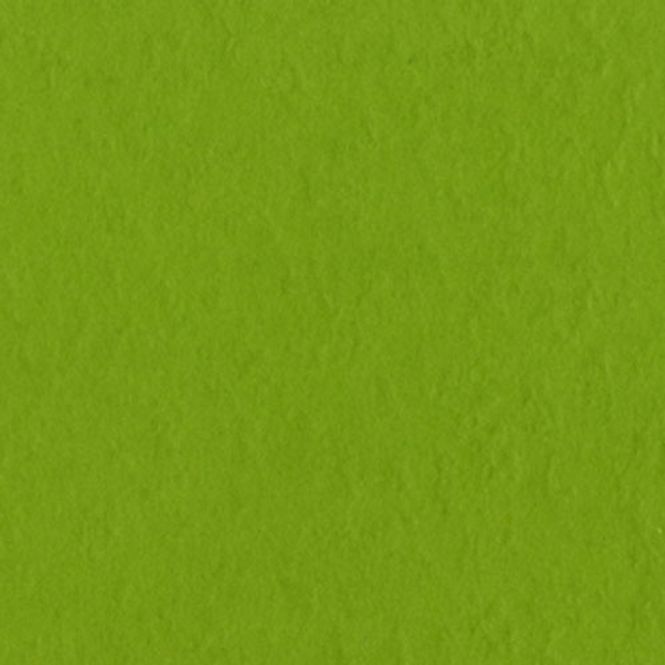 Hovedbilde Bazzill - Fourz (Grass Cloth) - 19-5381 - Intense Kiwi