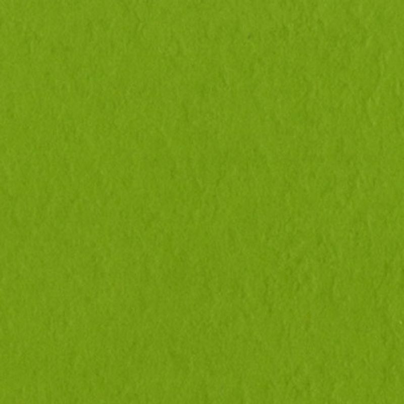 Bazzill - Fourz (Grass Cloth) - 19-5381 - Intense Kiwi