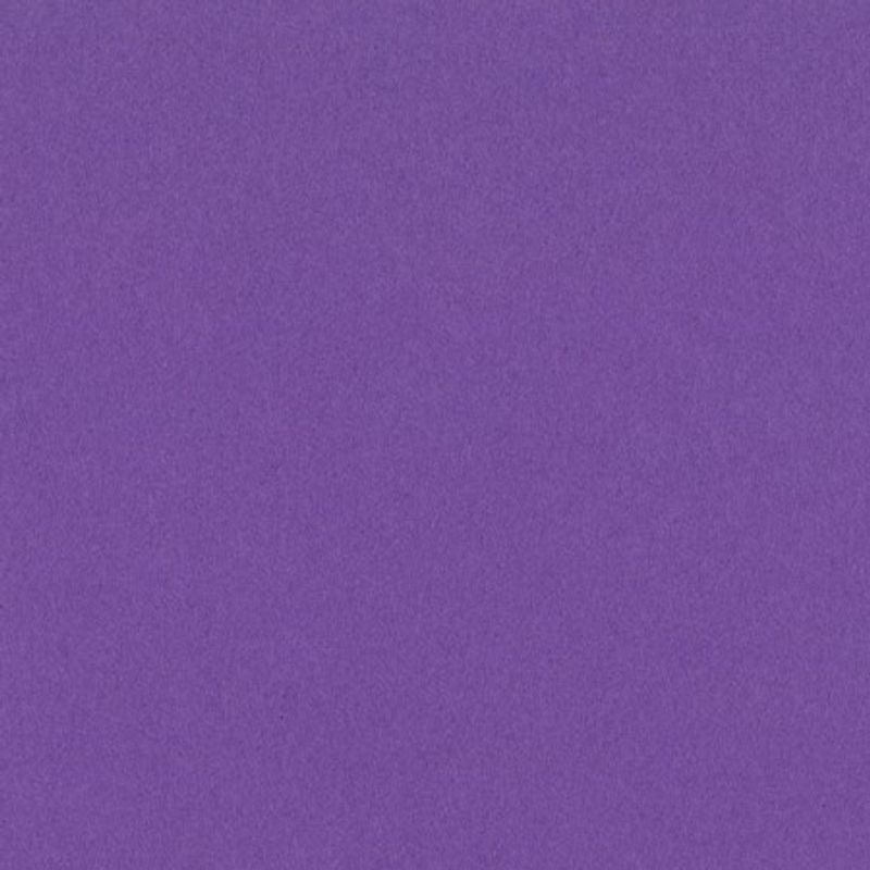 Bazzill - Smoothies - 302233 - Grape Delight