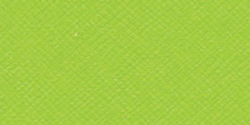 Bazzill - Criss Cross - T5-536 - Limeade /CC