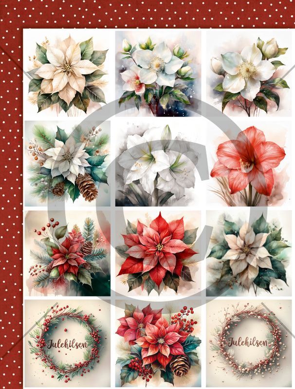 Papirdesign -  A4 Motivark - PD 1342 - Juleblomster