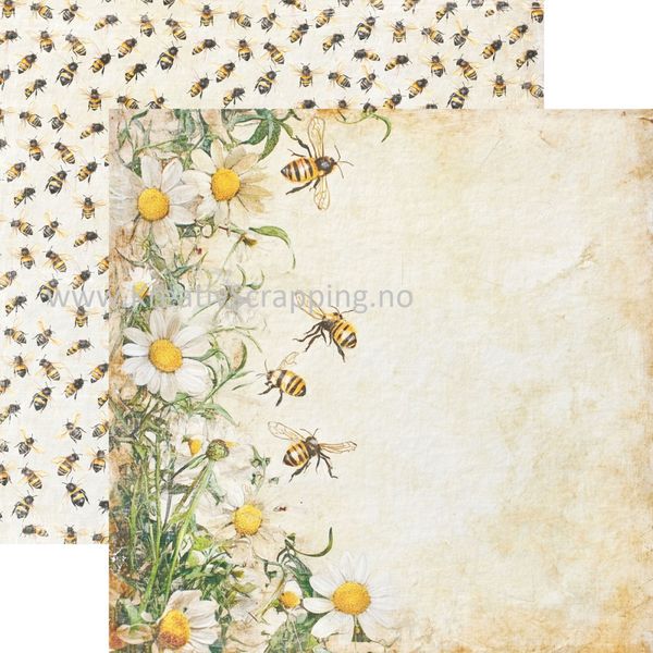 Reprint - 12x12 - RP0697 - Summer - Summer Bee's